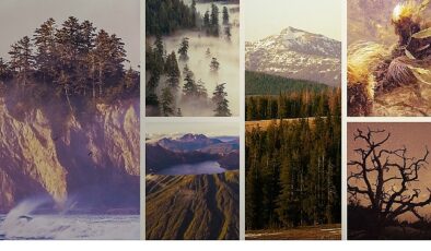 ‘Ulusal Parklar: Amerika Özel’,   3 Mayıs Pazar Saat 20.00’de  National Geographic WILD Ekranlarında İzleyicilerle Buluşuyor!