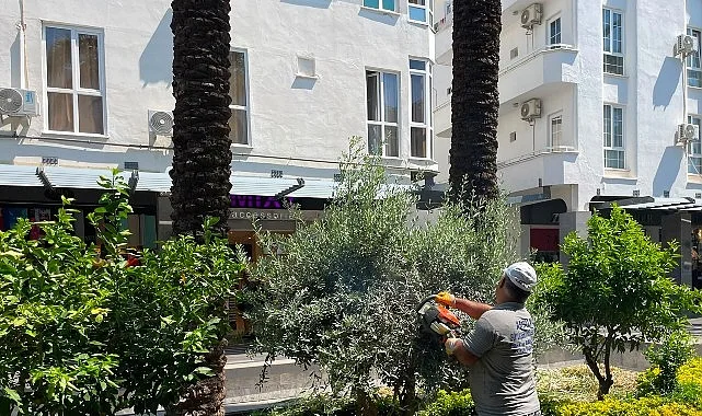 Büyükşehir ekiplerinden Kemer Liman Caddesi’nde çalışma