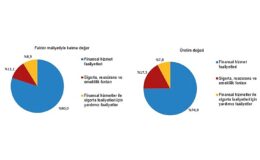Mali Aracı Kuruluş İstatistikleri, 2025