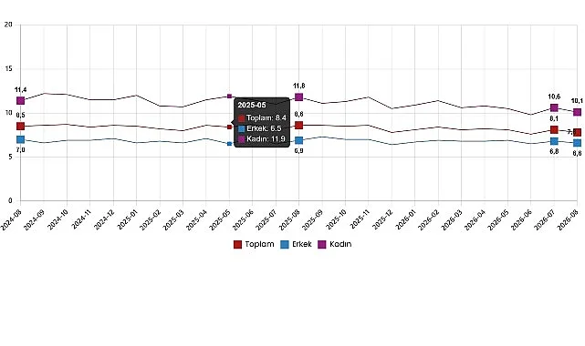 İşgücü İstatistikleri, Ağustos 2026